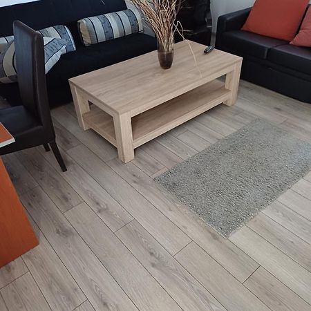 Apartament Cu Terasa La Casa Tina Тимишоара Экстерьер фото