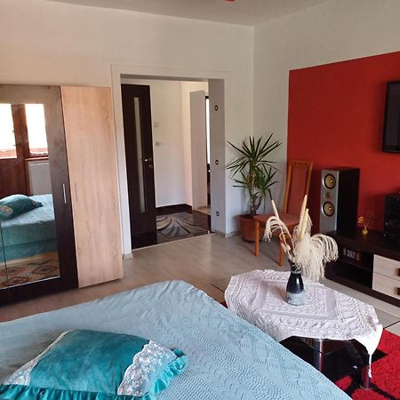 Apartament Cu Terasa La Casa Tina Тимишоара Экстерьер фото