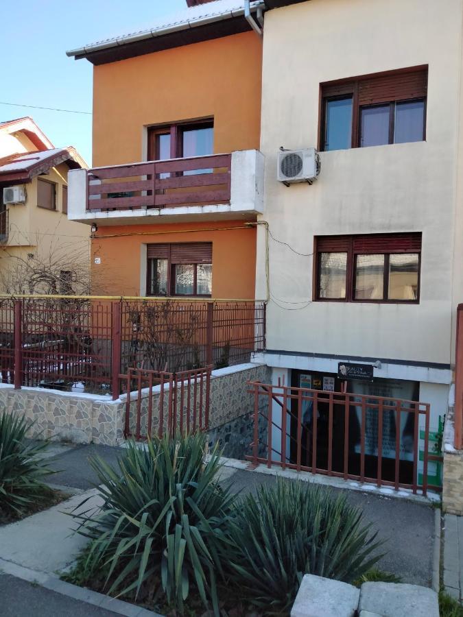 Apartament Cu Terasa La Casa Tina Тимишоара Экстерьер фото