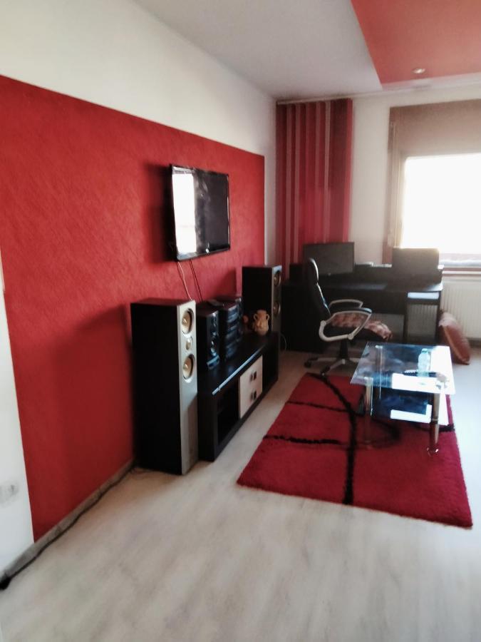 Apartament Cu Terasa La Casa Tina Тимишоара Экстерьер фото