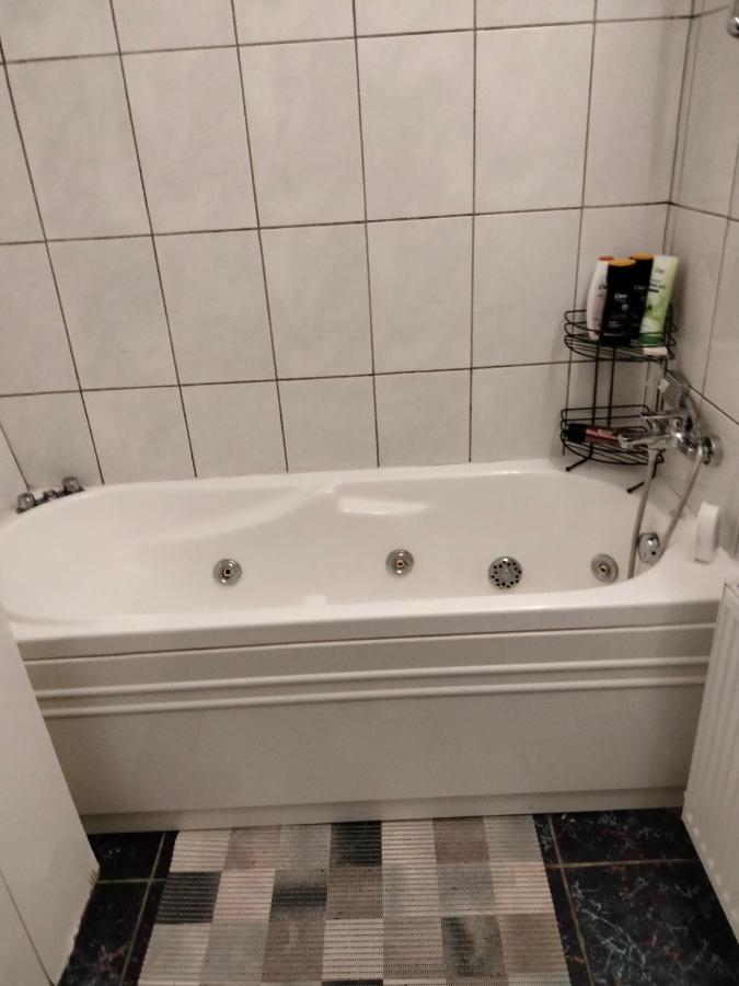 Apartament Cu Terasa La Casa Tina Тимишоара Экстерьер фото