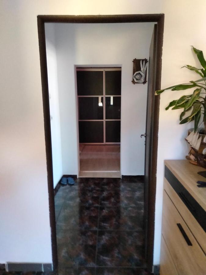 Apartament Cu Terasa La Casa Tina Тимишоара Экстерьер фото