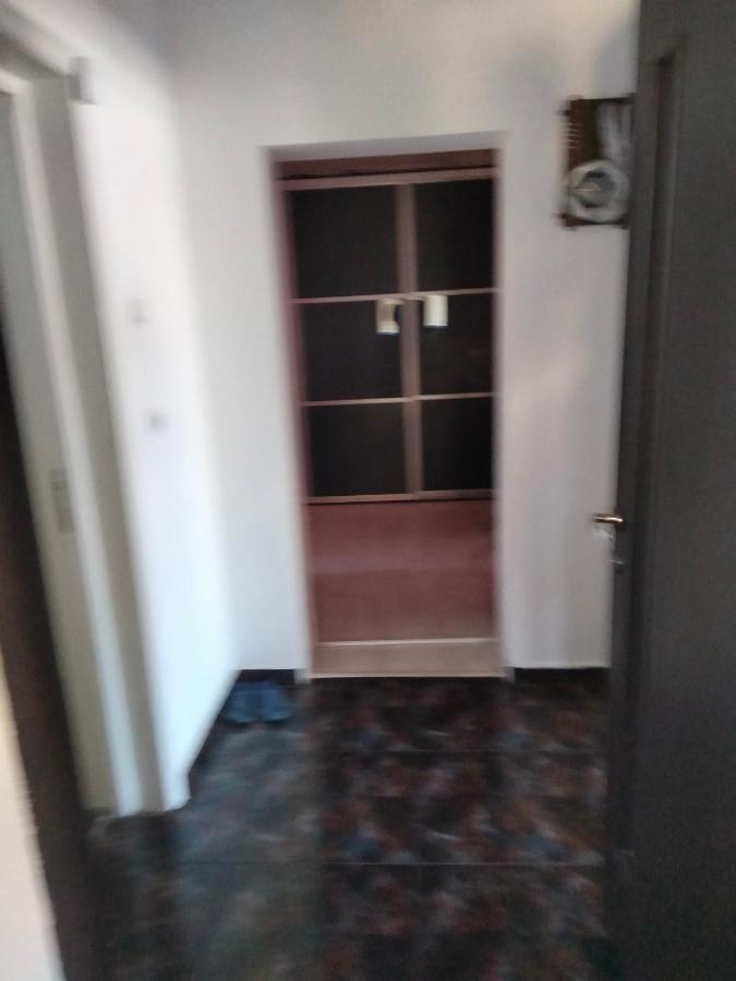 Apartament Cu Terasa La Casa Tina Тимишоара Экстерьер фото