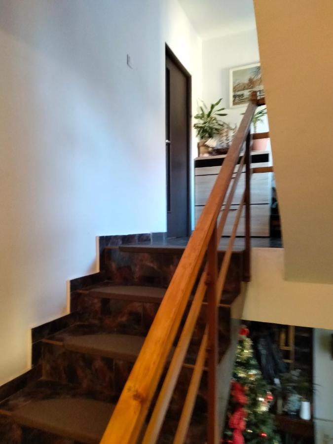 Apartament Cu Terasa La Casa Tina Тимишоара Экстерьер фото