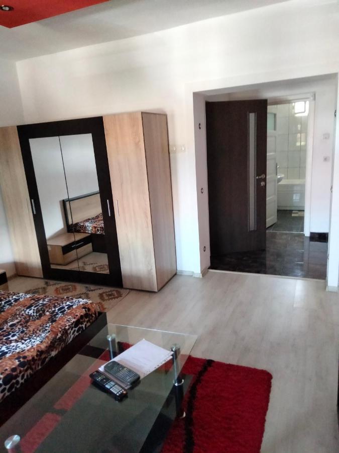Apartament Cu Terasa La Casa Tina Тимишоара Экстерьер фото