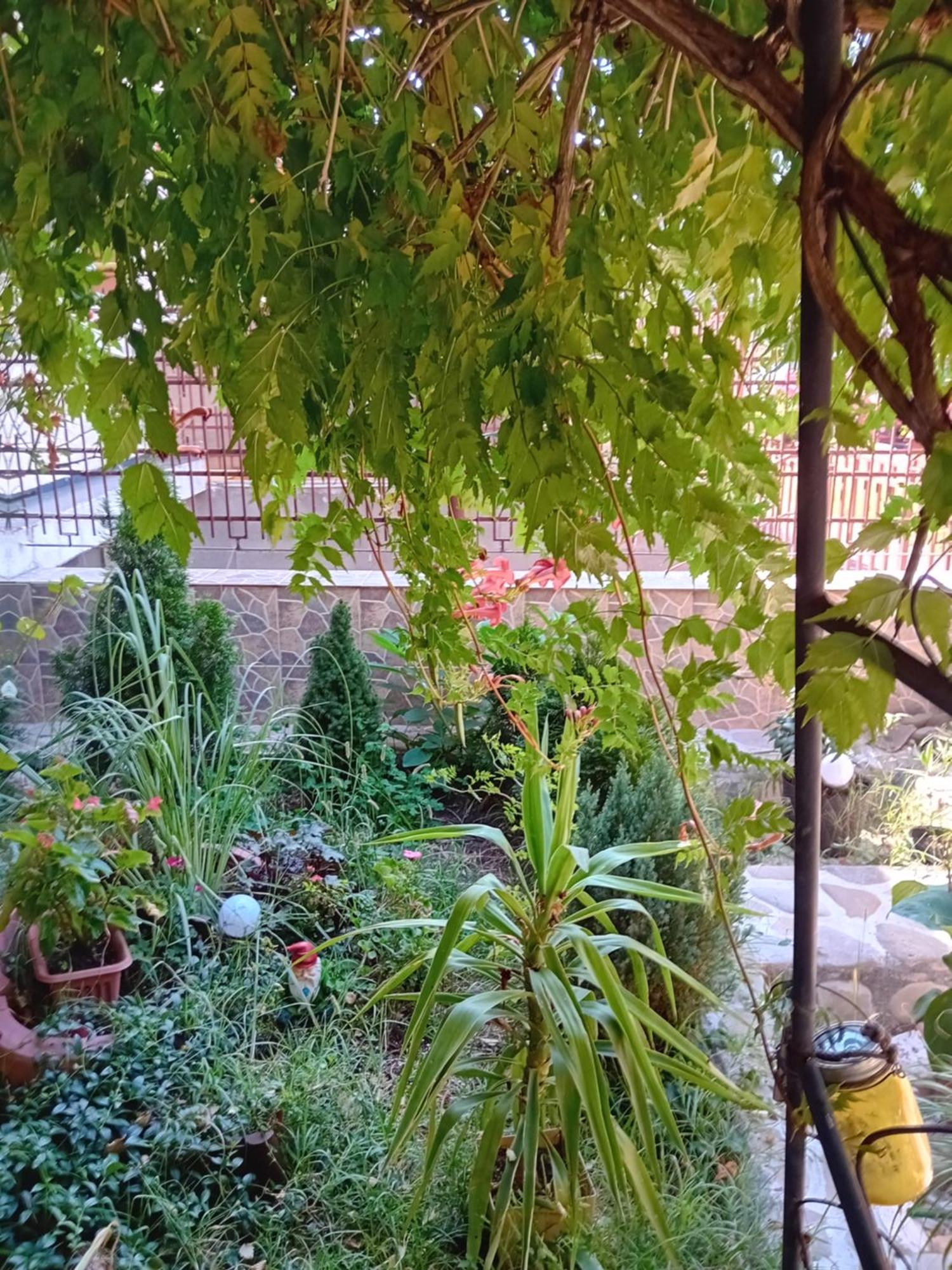 Apartament Cu Terasa La Casa Tina Тимишоара Экстерьер фото