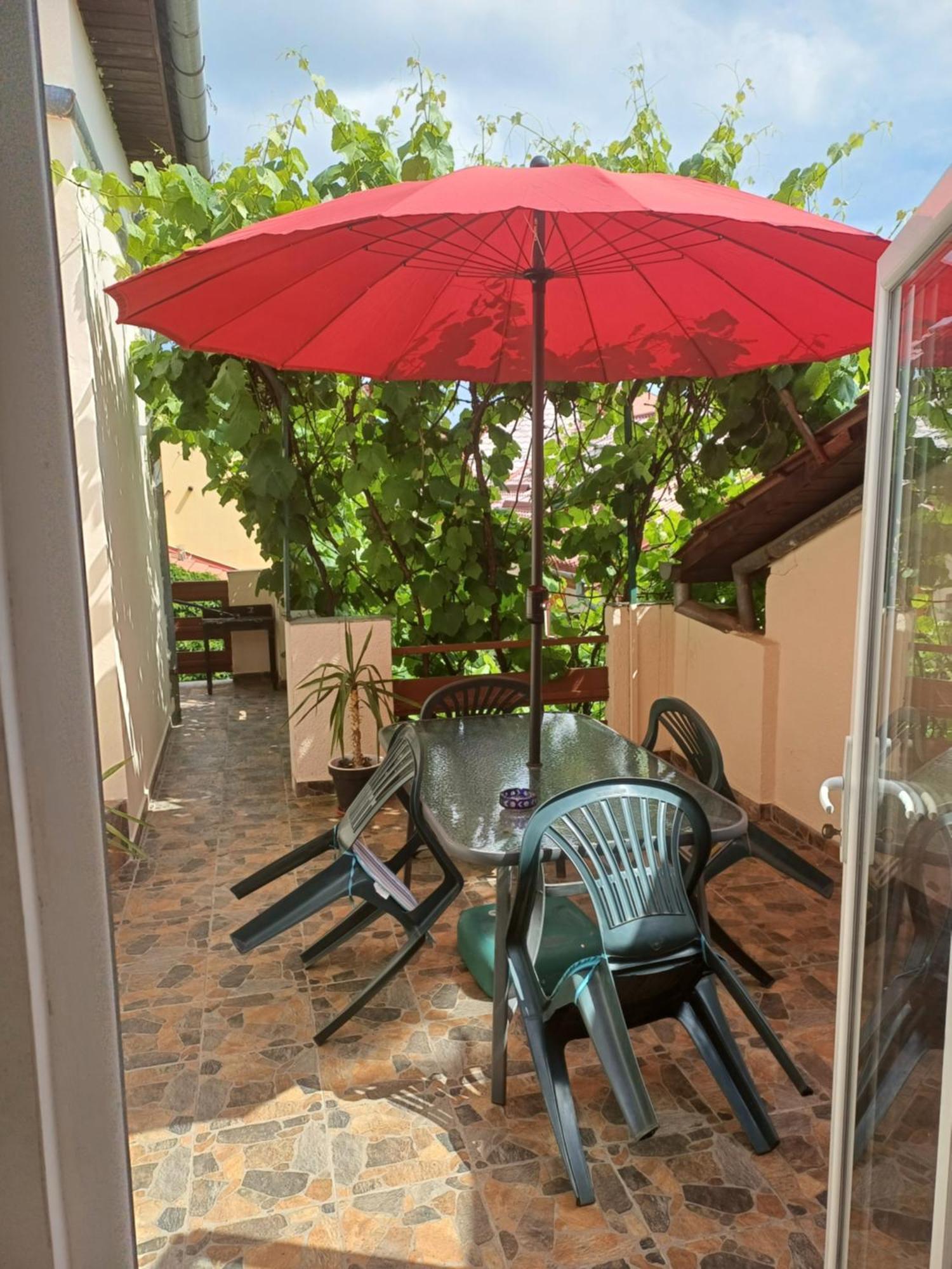 Apartament Cu Terasa La Casa Tina Тимишоара Экстерьер фото