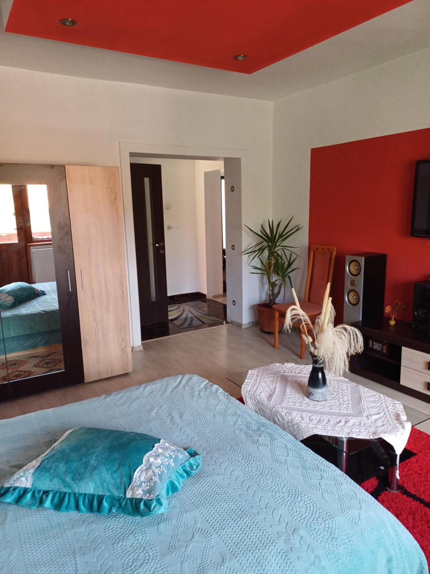 Apartament Cu Terasa La Casa Tina Тимишоара Экстерьер фото
